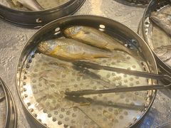 -长平肥姐白粥·海鲜打冷