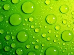 -金锣冷鲜肉胜保水产(希望东路店)