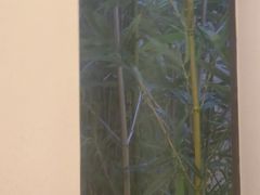 -茗知道茶馆(世博源店)