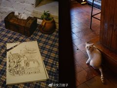 -不舍昼夜咖啡馆