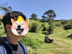 -霍比特人村