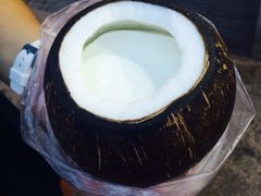 -志龙皇冠吃货椰子铺
