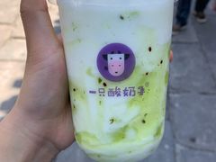 绿野弥弥酸奶多-一只酸奶牛(八一路店)