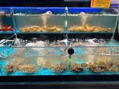 -苏格里岛自助烤肉海鲜火锅(成都金牛万达店)