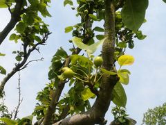 -南京市无想山景区