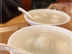 -海丝金凤(金鱼店)