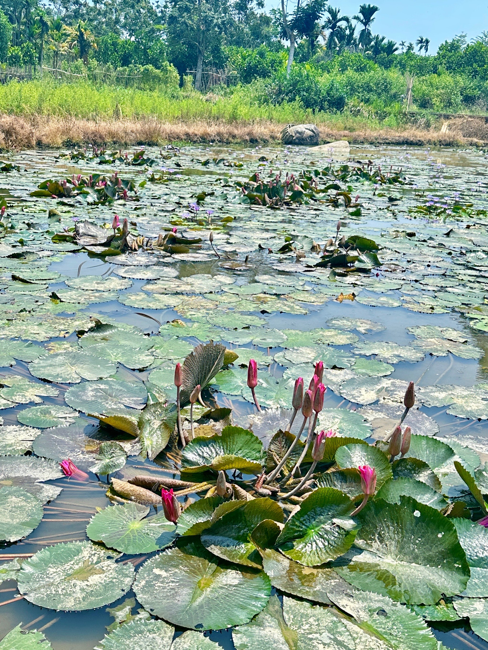 布隆赛乡村文化旅游区图片