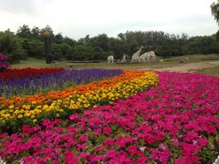 景点-廊坊市自然公园