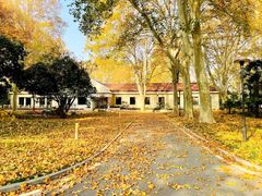 -河南省黄河迎宾馆