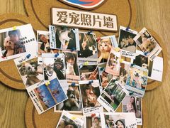 零售区-DQ·蛋糕·冰淇淋(新佳丽店)