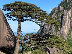 -黄山风景区