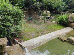 -黔灵山公园