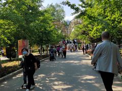 -长白岛森林公园