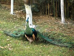 -昆明动物园