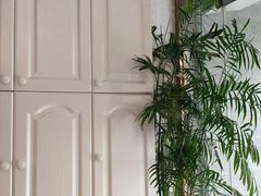 -久健盲人推拿(春江佳园店)