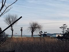-青岛海泉湾度假区温泉