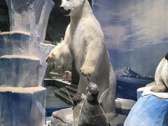 -国家自然博物馆