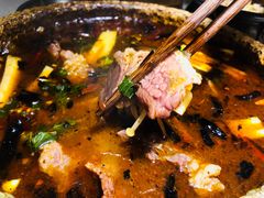-都氏家DUSJOY(翡翠城店)