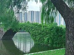 -北陵公园