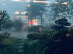 -曾福兴