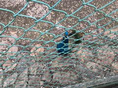 -南京金牛湖风景区