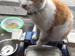 -袁记串串香(人民公园店)