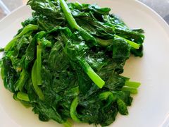 清炒豆苗-鼎泰丰(国贸商城店)