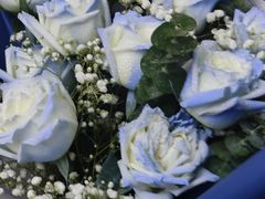 -亭亭鲜花店(中山北路店)