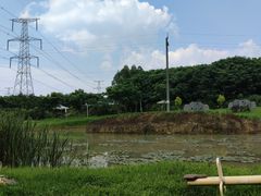 -紫颐香薰山谷景区