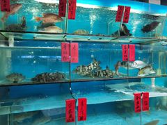 水产区-海大大蒸汽海鲜餐厅·粤菜·特色小炒(欢乐颂店)