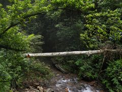 -江西阳明山国家森林公园