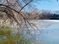 -北京大学-勺园食堂