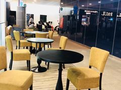 -西沃古尔·拉姆古兰爵士国际机场