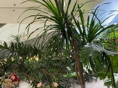 -枕水江南(铁西万象汇店)