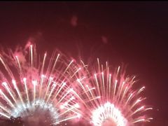 -南宁花花大世界景区