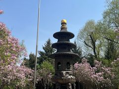 -哈尔滨极乐寺