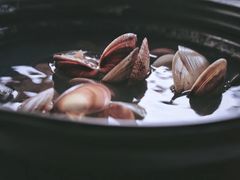 -罗源湾8号渔排
