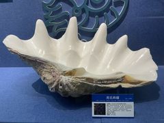 -大连自然博物馆