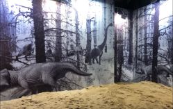 -恐龙探索乐园(磁器口店)