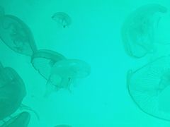 -沈阳海洋探索中心