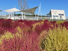 -天津东丽湖风景区