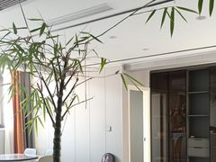 -重庆轻喜到家家政保洁