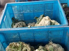 -江杨农产品批发市场