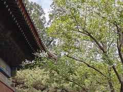 -红螺寺