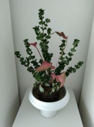-颜蕾医美·黄金微针·水光·玻尿酸·超声炮·抗衰中心