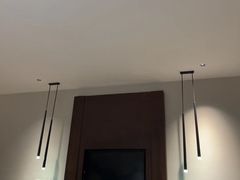 -深圳湾科技园丽雅查尔顿酒店