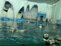 -太平洋海底世界