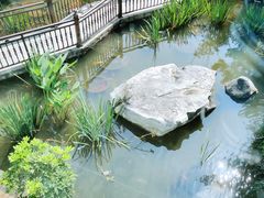 -聚缘堂·海鲜私房菜(松岭路店)