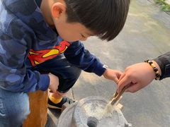 -前小桔亲子创意农场·草莓采摘·露营烧烤