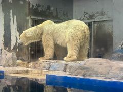 -大连圣亚海洋世界